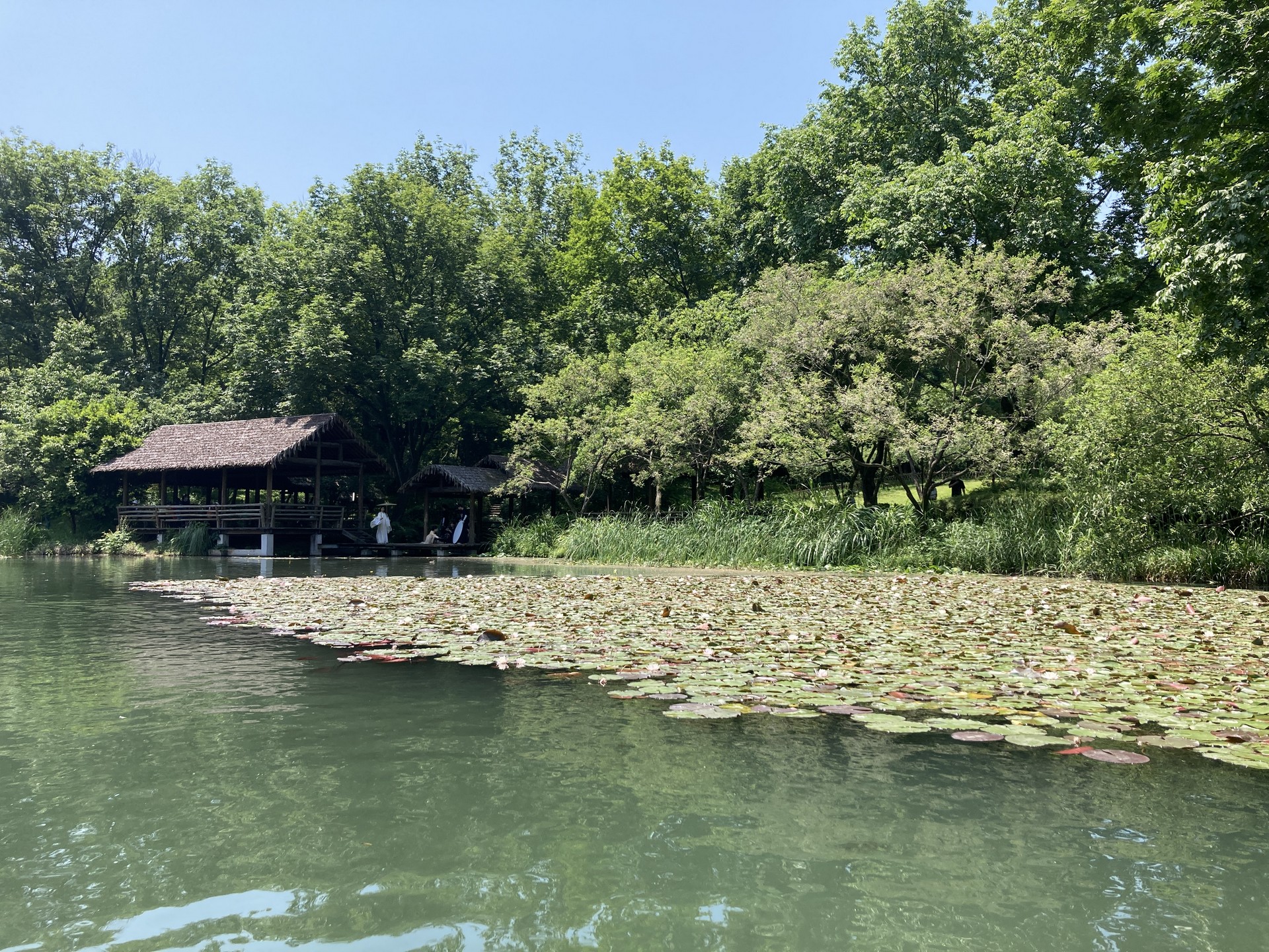 天气晴好，风景秀丽